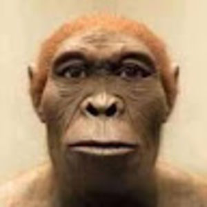 Meet your Posher, Cameron